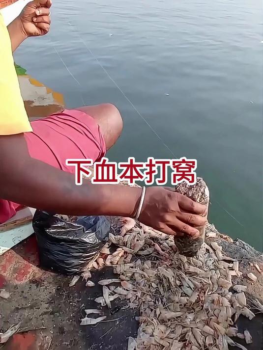 下血本用活虾打窝!鱼饵抛入水中就中鱼,这鱼也太给面子了