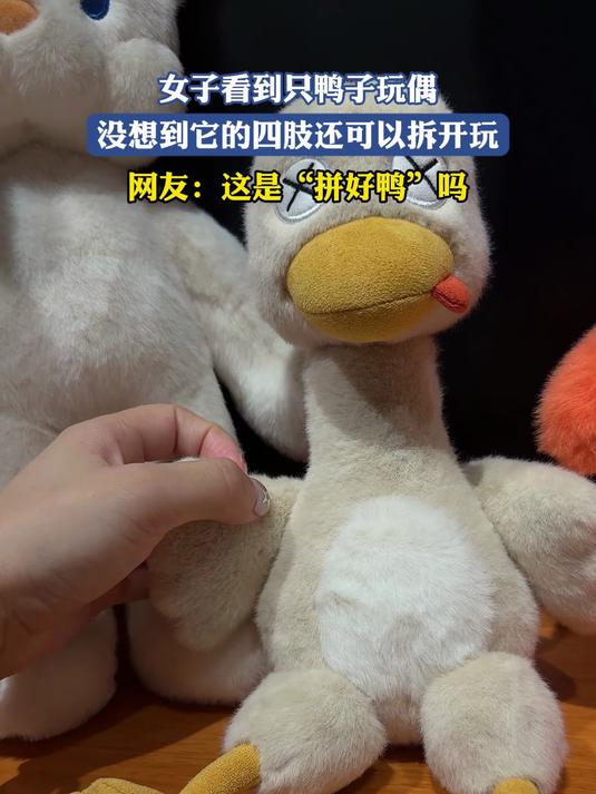 女子看到只鸭子玩偶,没想到它的四肢还可以拆开玩