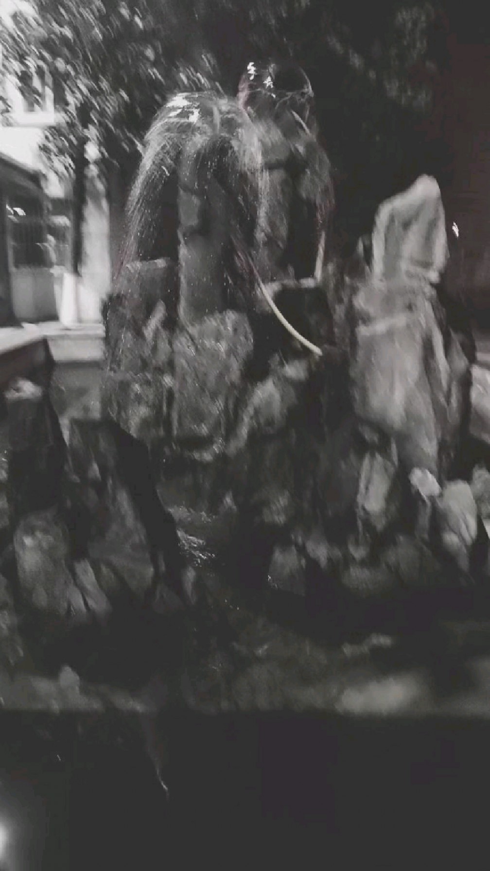 假山假泉金鲤鱼,冬去春来跃龙门