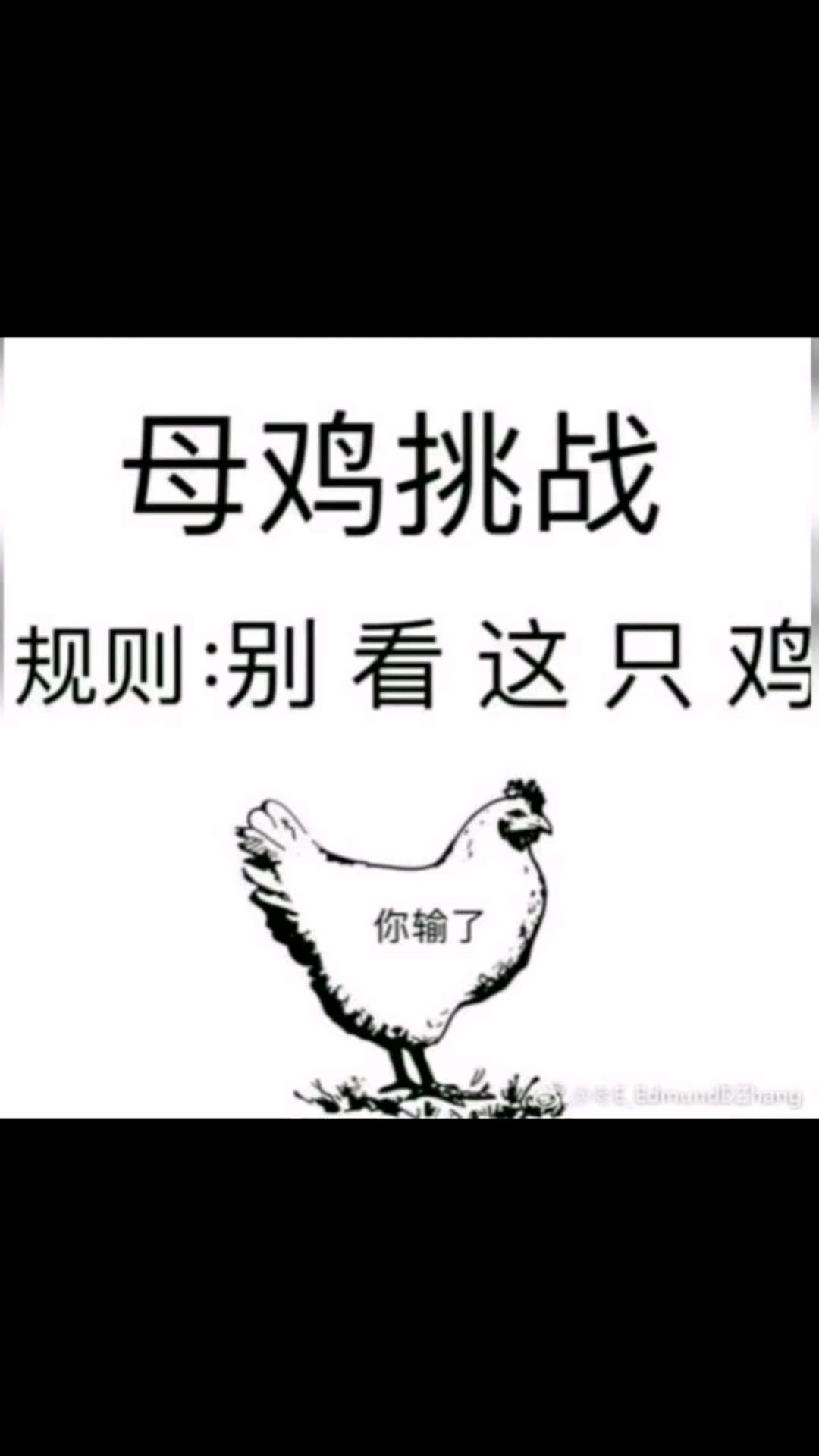 母鸡挑战,你输了吗