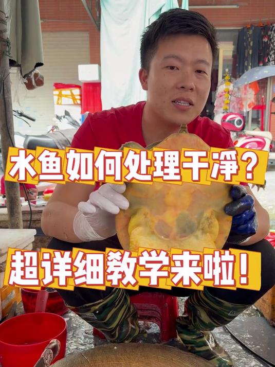 水鱼如何处理干净？超详细教学来啦！#刀工##杀鱼#