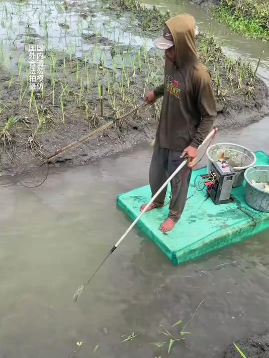 国外电鱼现场！