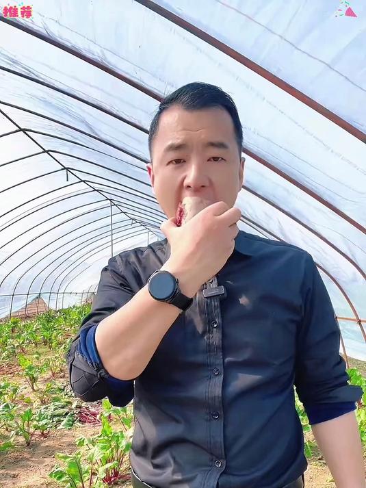 甜菜根 好吃不贵经济实惠