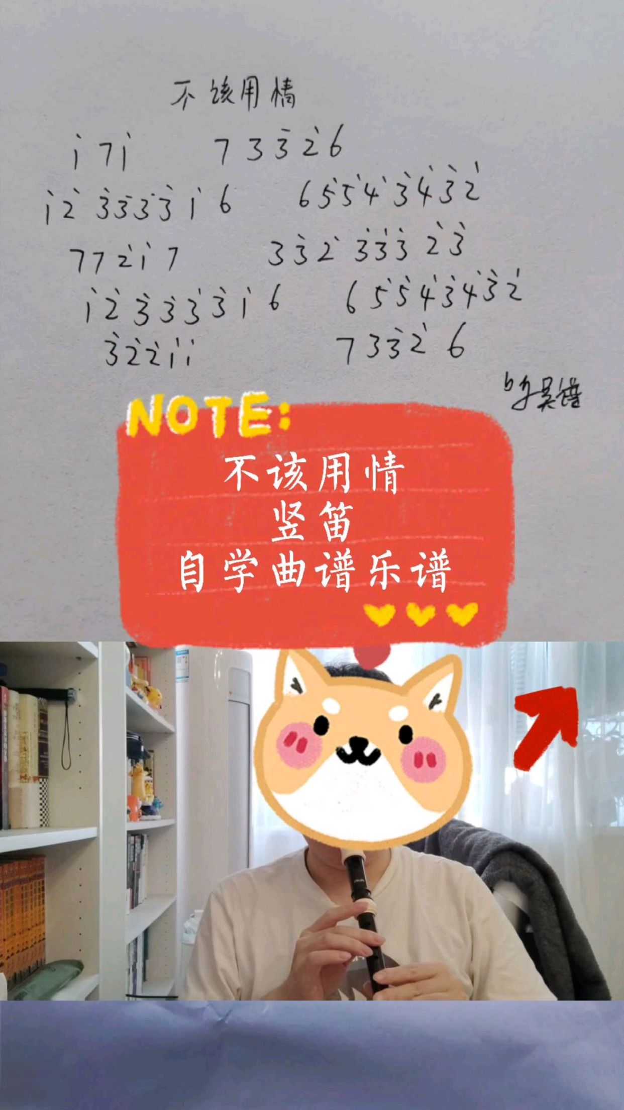 不该用情,竖笛,自学曲谱简谱