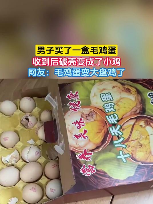 男子买了一盒毛鸡蛋，收到后破壳变成了小鸡，网友：毛鸡蛋变大盘鸡了