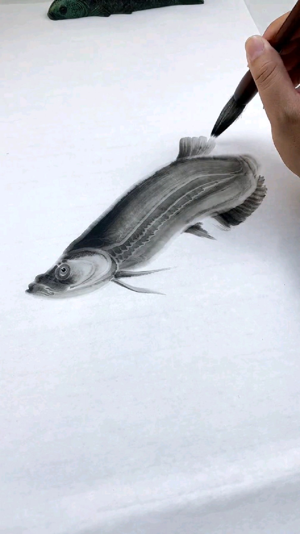 水墨金龙鱼,真是太漂亮了