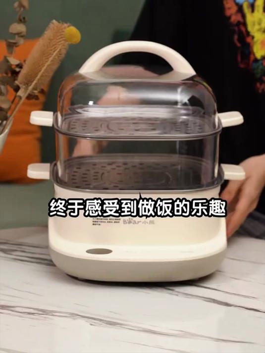 家用多功能电蒸锅