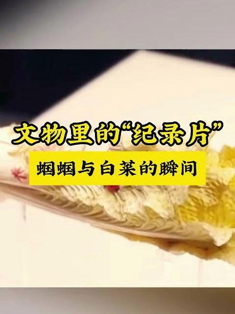 文物里的“自然纪录片”:蝈蝈与白菜的瞬间
