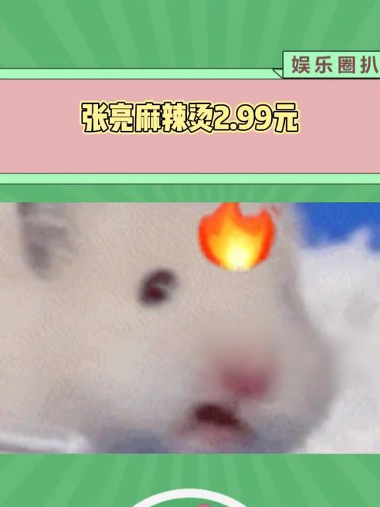 张亮麻辣烫2.99元