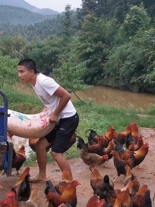 广式胡椒猪肚鸡,凭优质食材立本,借均衡营养强身,风味独特烹饪广