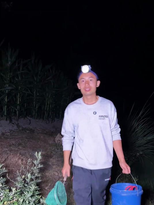 晚上是捉虾摸鱼的好时候，今天提桶摸3个小时，收获还不小