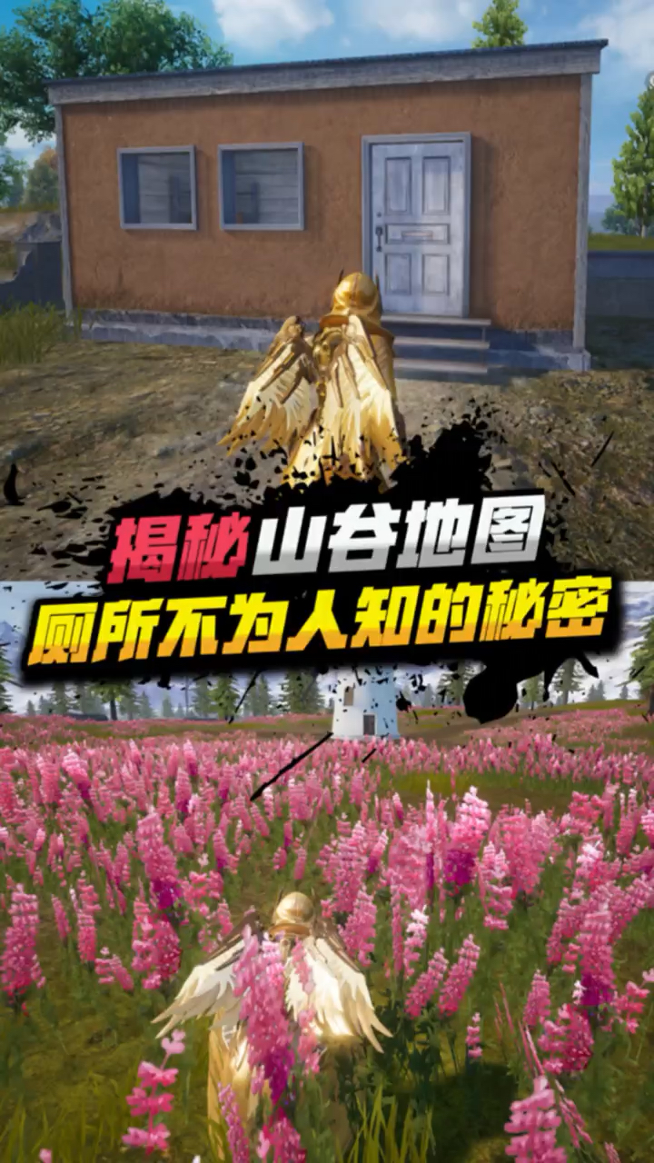 吃鸡:山谷地图厕所的未解之谜,你都知道吗