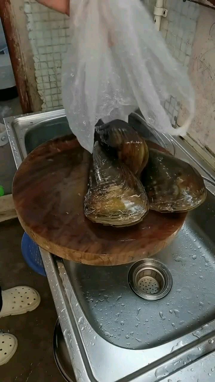 蒜蓉带舌, 婚宴菜单 中叫早得贵子,寓意就是吃了早生贵子的意思