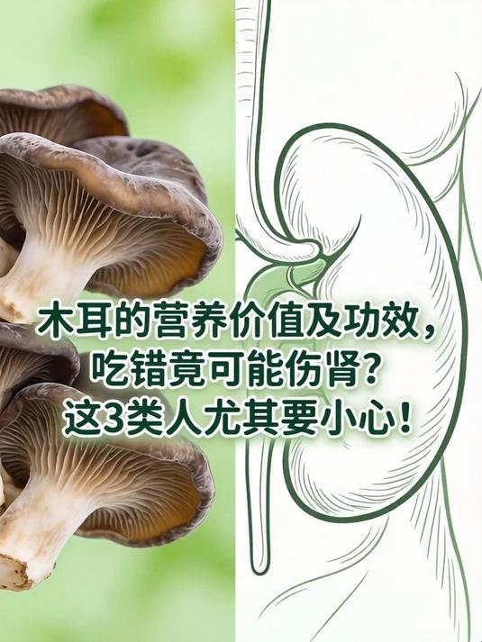 木耳的营养价值及功效,吃错竟可能伤肾?这3类人尤其要小心!