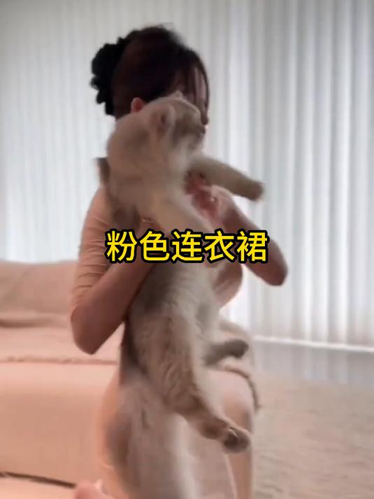 粉色连衣裙