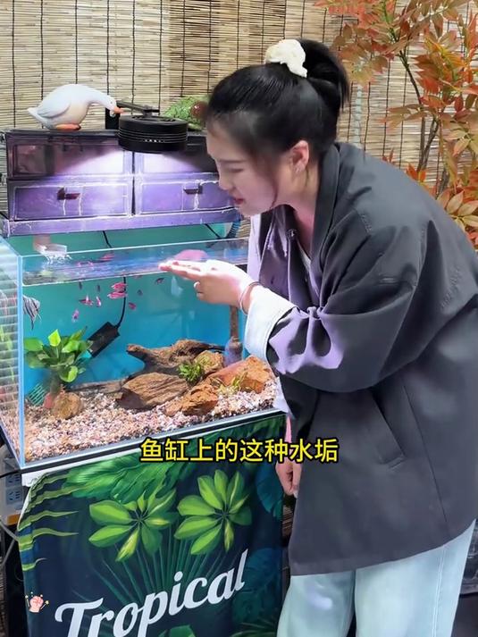顽固水垢不用怕！魔力刷一擦净，鱼缸亮晶晶！