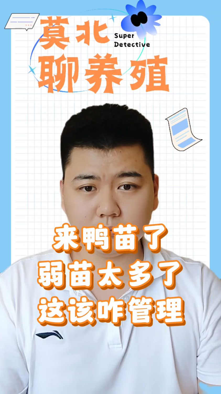 #小鸭怎么养成活率最高怎样养小鸭成活率最高怎样养小鸭子成活率更高小鸭喂什么药成活率