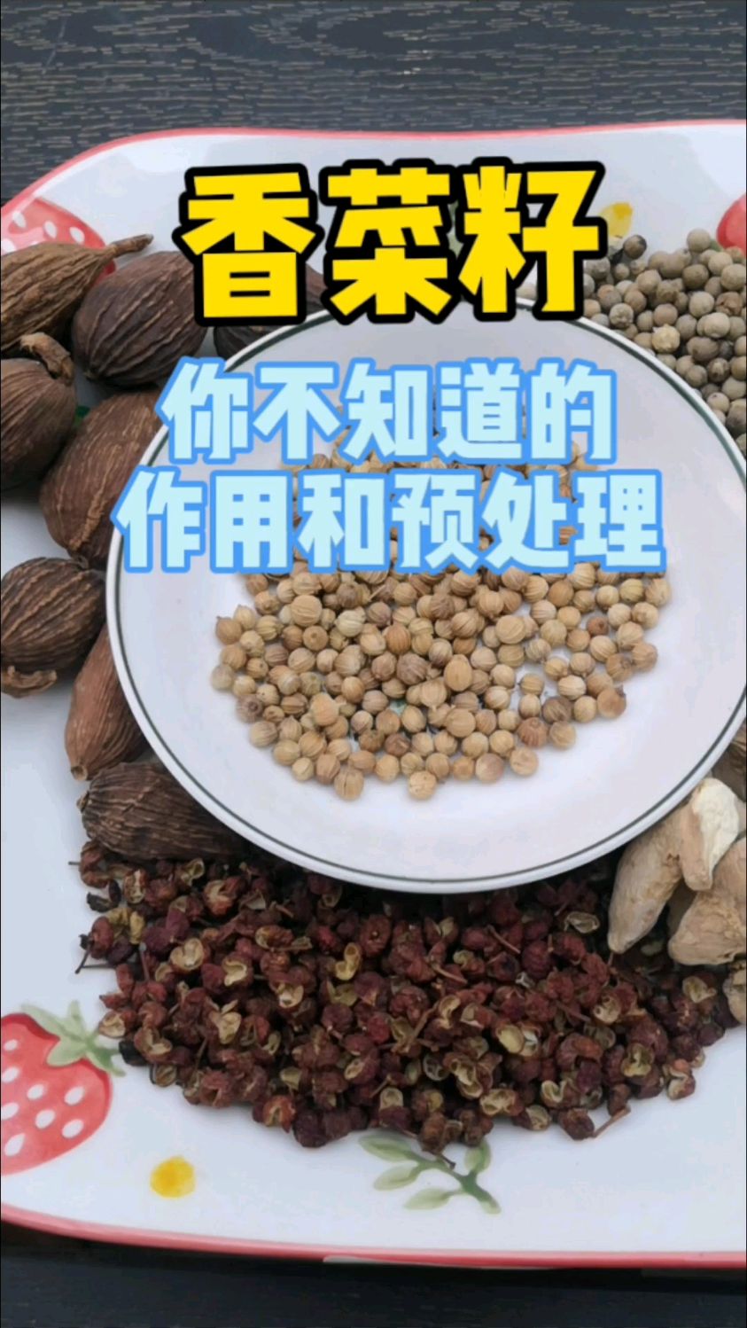 香菜籽你不知道的作用和预处理