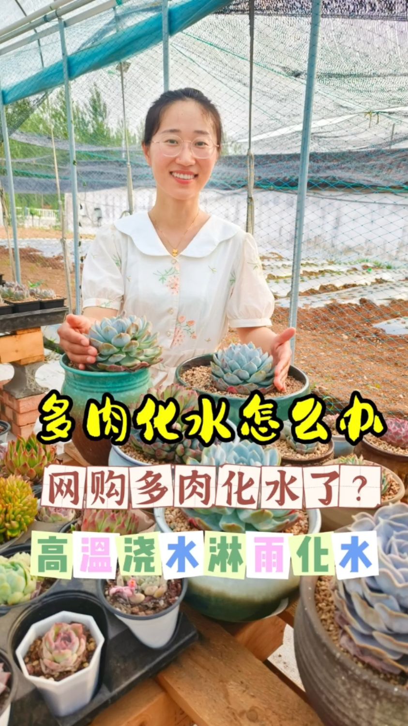 多肉化水怎么办?