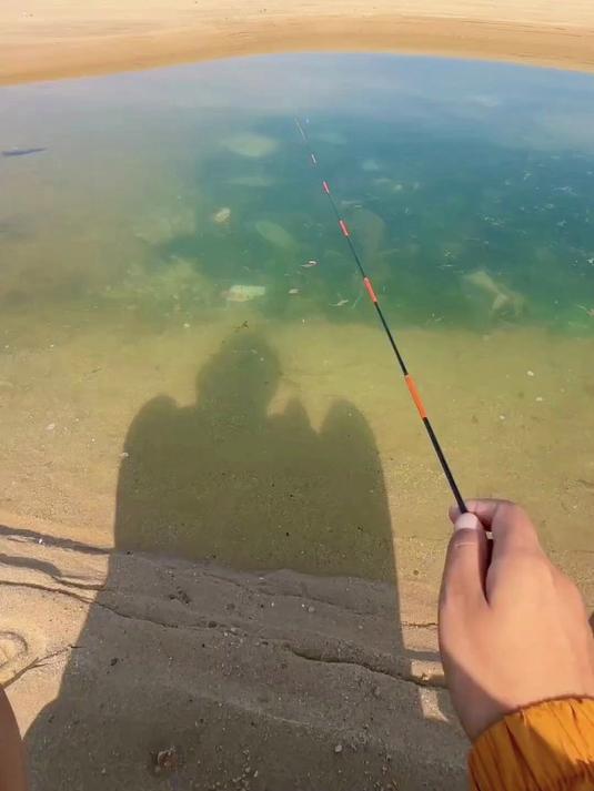 一米多的小鱼竿盘大海,今天的目标鱼是沙光鱼