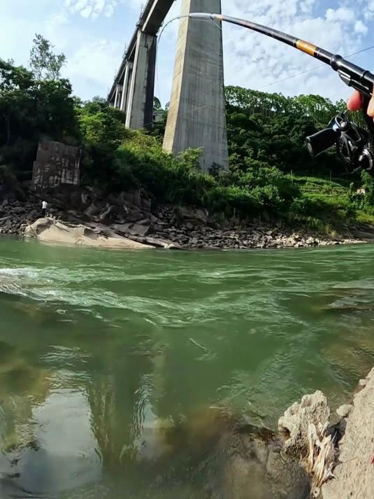 挑战全网最大的溪石斑