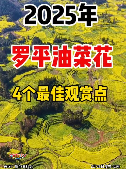 春日旅游到云南罗平吧,百万亩油菜花盛放,宛若金色海洋!