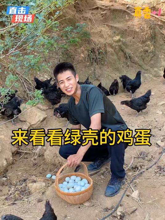散养绿壳土鸡蛋农家新鲜乌鸡蛋现捡现发小孩老人都合适吃