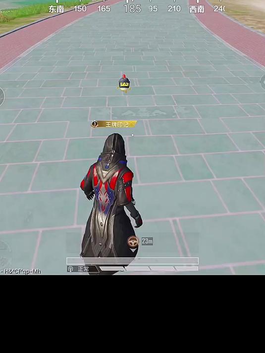 和平精英：我的小鸡仔已经不需要我了