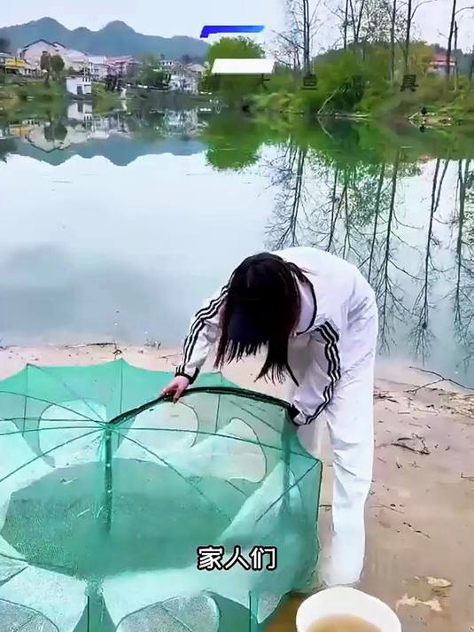 揭秘高效捕鱼神器!倒须设计让鱼虾有进无出,真省心