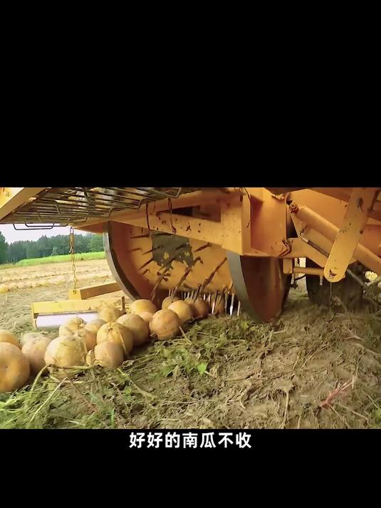 南瓜子仁的正确吃法,越吃越上头