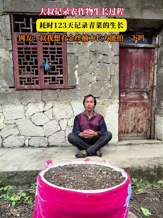 大叔记录农作物生长过程,耗时123天记录青菜的生长