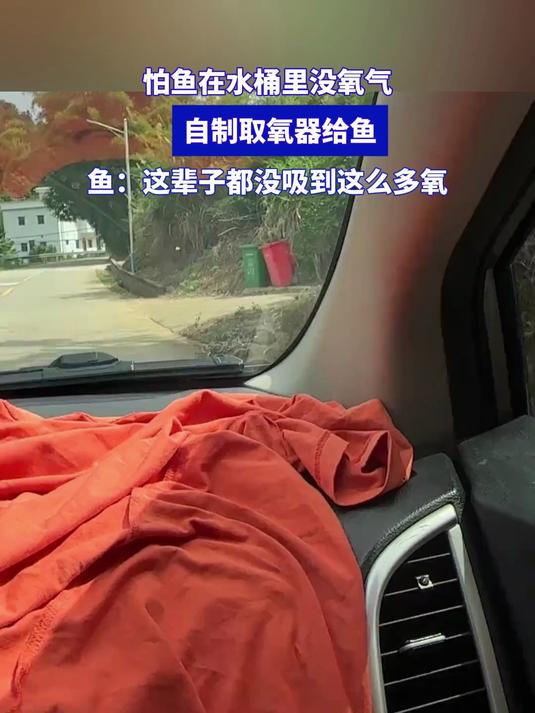 怕鱼在水桶里没氧气,自制取氧器给鱼