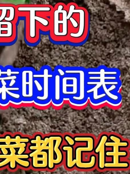 老祖宗留下的24节气种菜时间表明年种不种菜都要记住