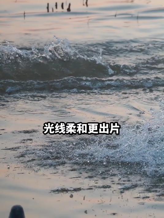 冬日限定！三门峡天鹅湖治愈感拉满