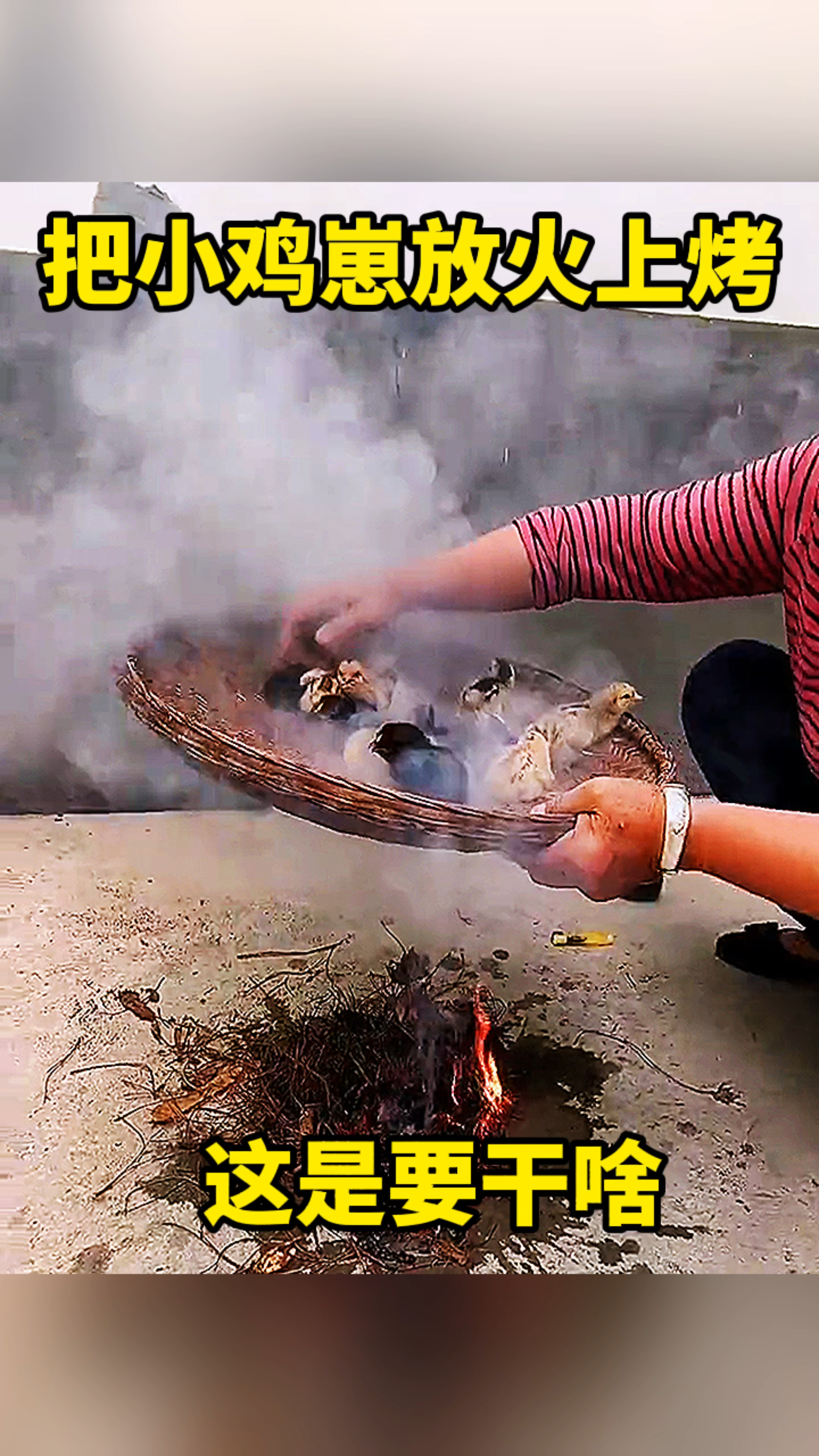 把小鸡崽放火上烤,这是要干啥