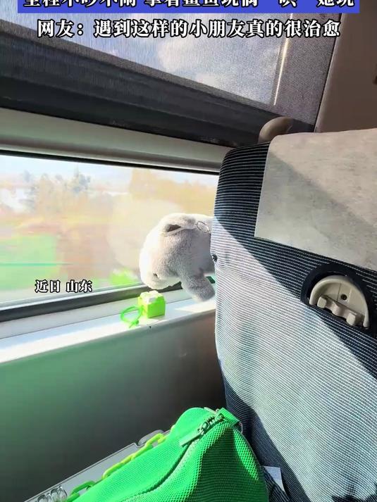 小姐姐坐高铁偶遇超可爱的小朋友,全程不吵不闹,拿着鲨鱼玩偶玩