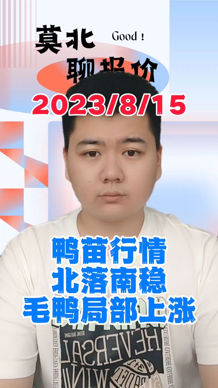 8月15号最新鸭价,白鸭苗价北落南稳,白鸭苗区域性差价较大,北方鸭苗下落3毛