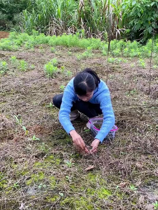 “天然降压菜”找到了!不是芹菜是它,一周吃3次,身体会感谢你