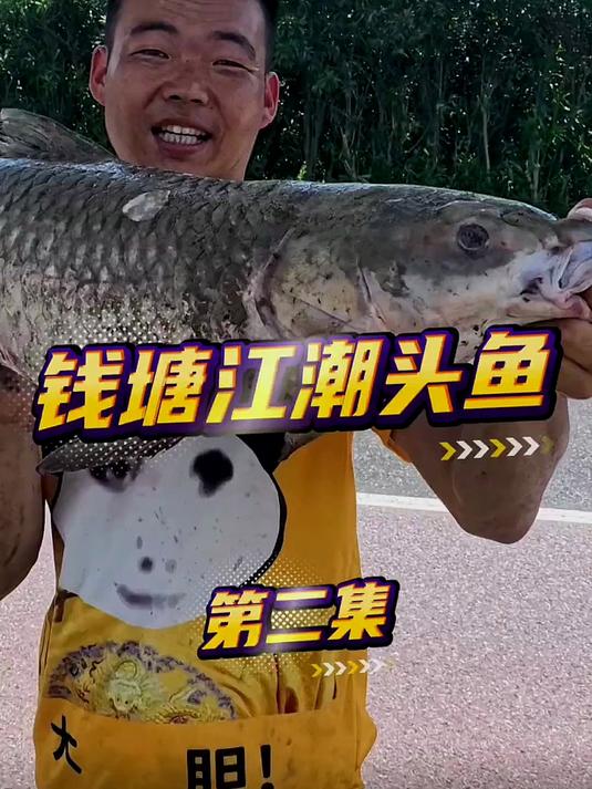 解锁新鱼种,钱塘江潮头鱼!