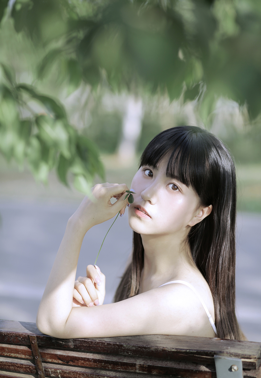 图片[4]-绿草地-六色网