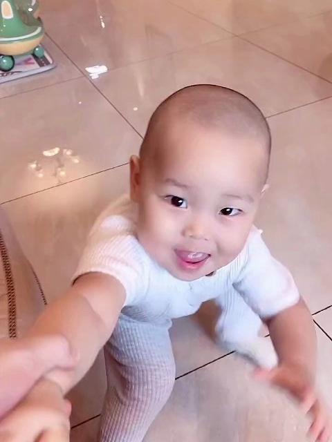 小橙子提醒大家别忘了吃饺子