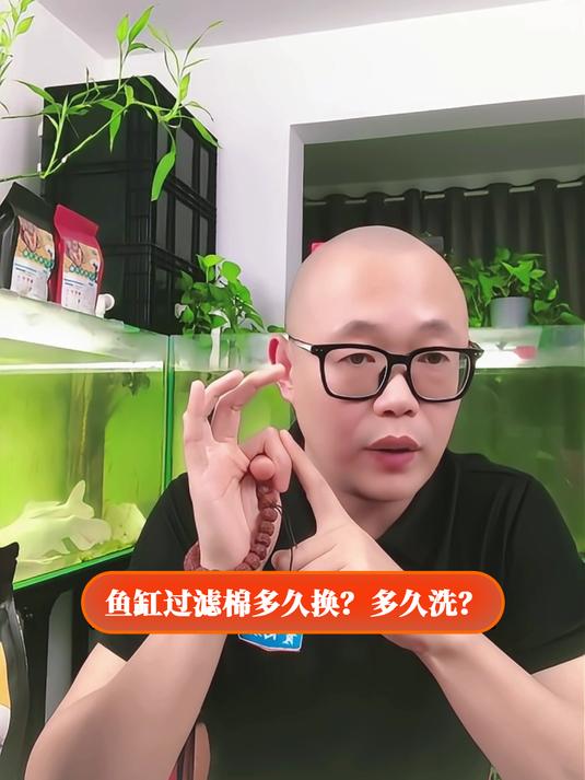 鱼缸过滤棉多久换?多久洗?