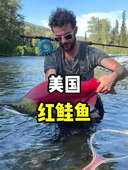 这里位于美国的阿拉斯加，当地河边游了一群外观很独特的鱼