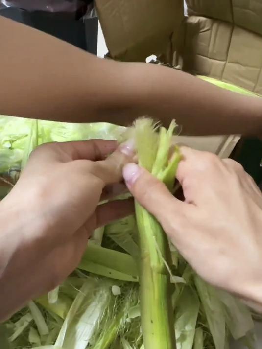 新鲜采摘玉米笋,口感脆弹,让您尽享田园风味