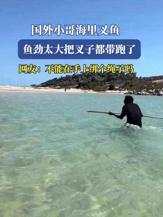 国外小哥海里叉鱼,鱼劲太大把叉子都带跑了