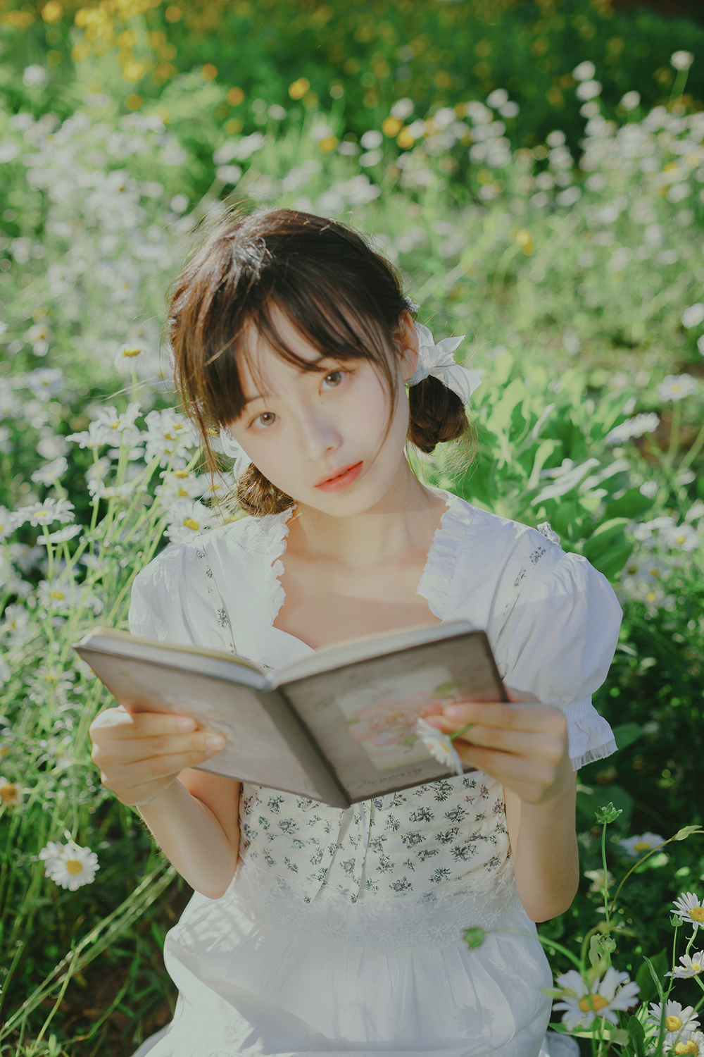 图片[16]-初夏の小雏菊Ⅰ-六色网