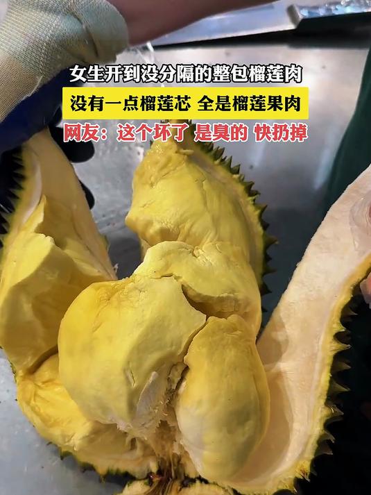 女生开到没有一点榴莲芯,全是榴莲果肉的榴莲