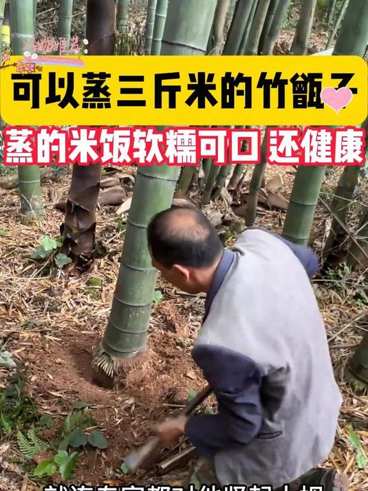 天然竹子做的竹甑子,天然无涂层,真的是太好了,蒸肉也嘎嘎香