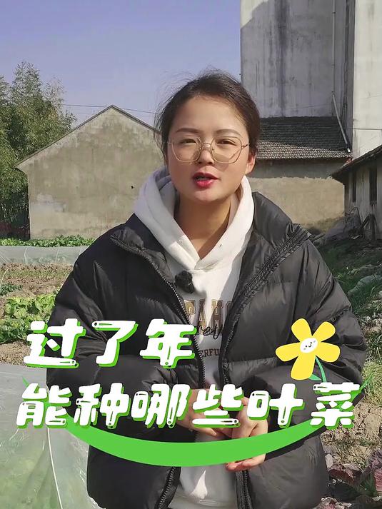 过了年可以种植哪些叶菜？