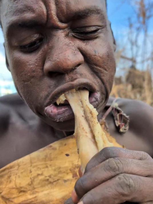 黯然销魂狒狒汤